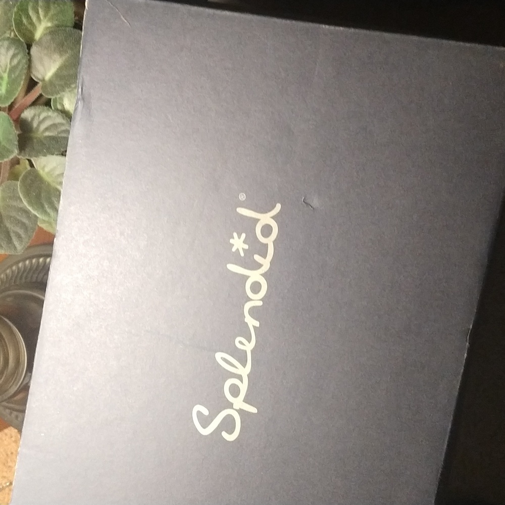 Authentic Splendid Platform Sandals - Picture 8 of 9